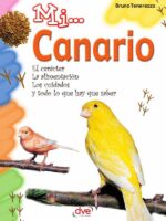 Mi... Canario