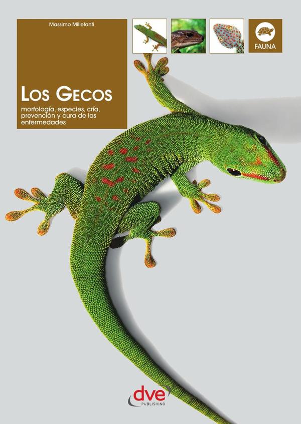 Los gecos