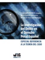 La investigación del delito en el Derecho penal español:Especial referencia a la teoría del caso