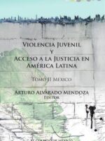 Violencia juvenil y acceso a la justicia.:Tomo II. México