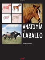 Anatomía del caballo