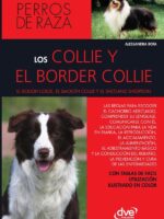 Los collie y el border collie