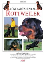 Cómo adiestrar al Rottweiler