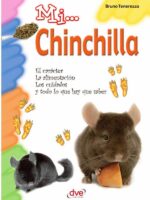Mi... Chinchilla