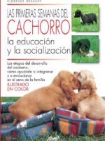 Las primeras semanas del cachorro