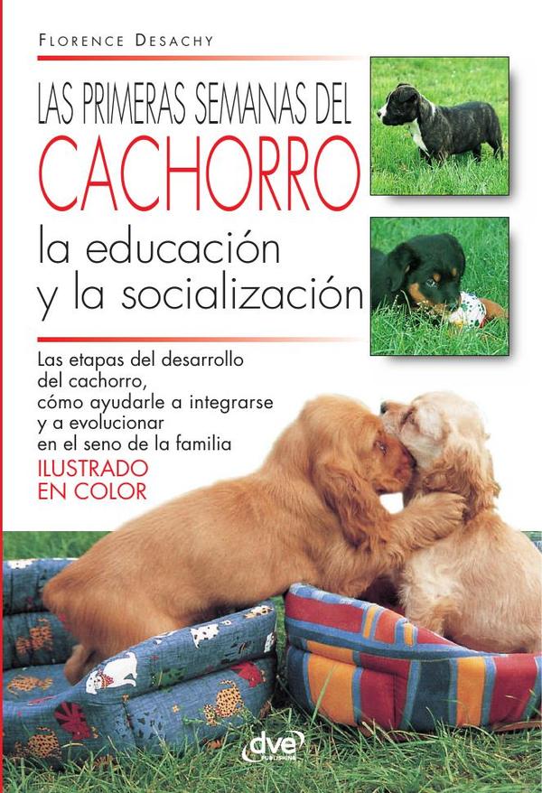 Las primeras semanas del cachorro