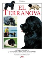 El terranova