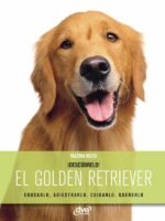 El golden retriever