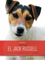 ¡Descúbrelo! El Jack Russell