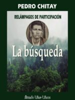 Relámpagos de participación :La búsqueda