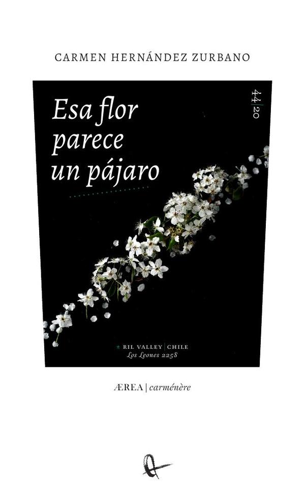 Esa flor parece un pájaro