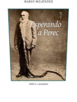 Esperando a Perec