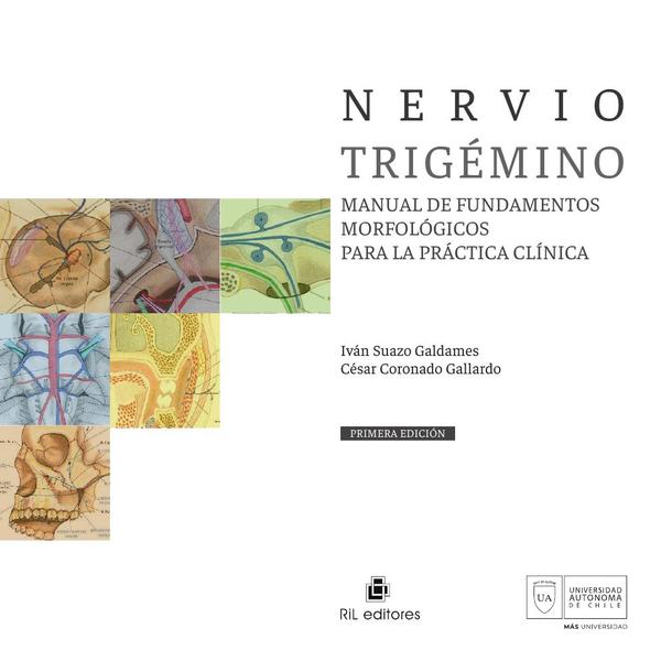 Nervio trigémino. Manual de fundamentos morfológicos para la práctica clínica