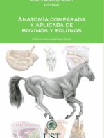 Anatomía comparada y aplicada de bovinos y equinos