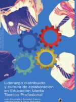 Liderazgo distribuido y cultura de colaboración en educación media técnico profesional. Análisis de las relaciones, interacciones y cultura colaborativa