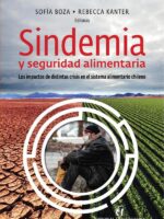 Sindemia y seguridad alimentaria:Los impactos de distintas crisis en el sistema alimentario chileno