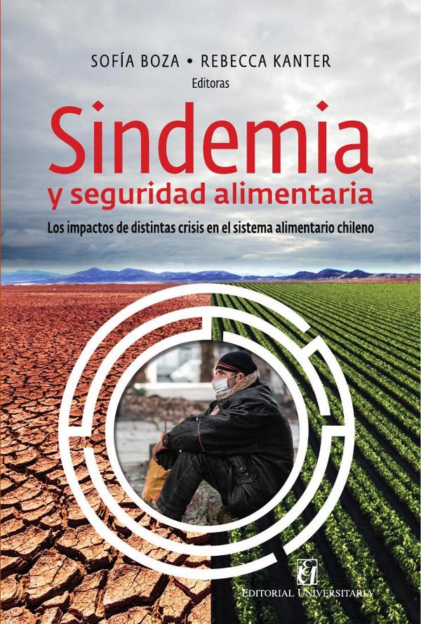 Sindemia y seguridad alimentaria:Los impactos de distintas crisis en el sistema alimentario chileno