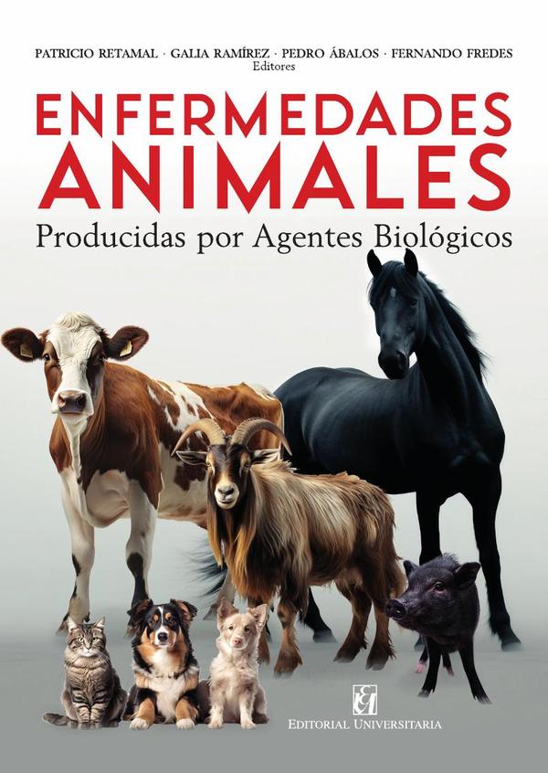 1172525_IMAGEN_TAPA_G_001