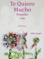 Te Quiero Mucho Poquito Nada.:Historieta