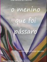 O Menino Que Foi Pássaro:História para Crianças Crescidas