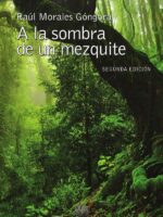 A la sombra de un mezquite