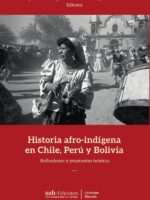 Historia afro-indígena en Chile, Perú y Bolivia:Reflexiones y propuestas teóricas