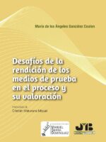 Desafíos de la rendición de los medios de prueba en el proceso y su valoración