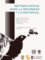 Metodología(s) para la seguridad y la paz social