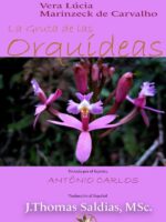 La Gruta de las Orquídeas