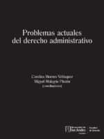 Problemas actuales del derecho administrativo