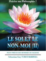 Le Soi et le Non-Moi 2