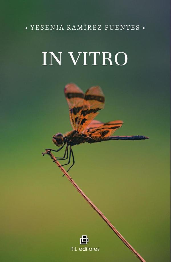 In Vitro