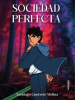 Sociedad perfecta