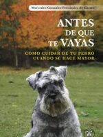 Antes de que te Vayas: Cómo Cuidar de tu perro Cuando se hace mayor