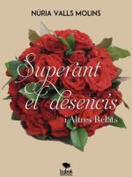 Superant el desencís i altres relats