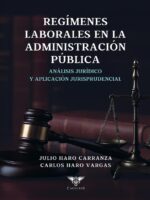 Los regímenes laborales en la administración pública:Análisis jurídico y aplicación jurisprudencial