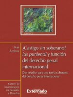 ¿Castigo sin soberano?. Lus punendi y función del derecho penal internacional. Dos estudios para una teoría coherente del derecho penal internacional N. 42