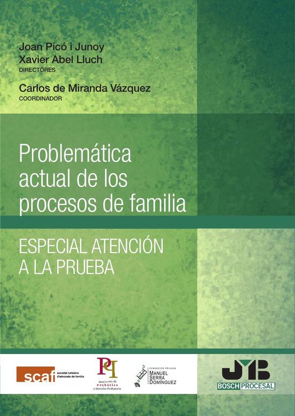 Problemática actual de los procesos de familia. :Especial atención a la prueba.