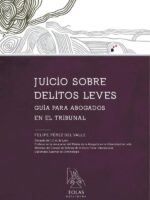 Juicio sobre delitos leves :GUÍA PARA ABOGADOS EN EL TRIBUNAL