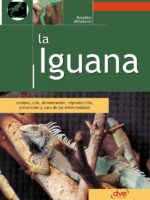 La iguana