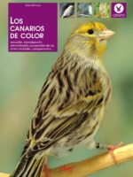 Los canarios de color