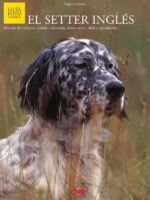 El setter inglés