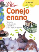 Mi... conejo enano