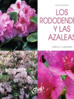 Los rododendros y las Azaleas