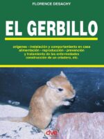 El gerbillo