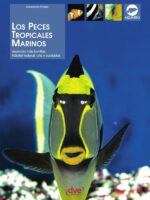 Los peces tropicales marinos