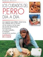 Los cuidados del perro día a día