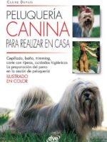 Peluquería canina para realizar en casa