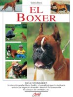 El Boxer