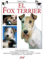 El fox terrier